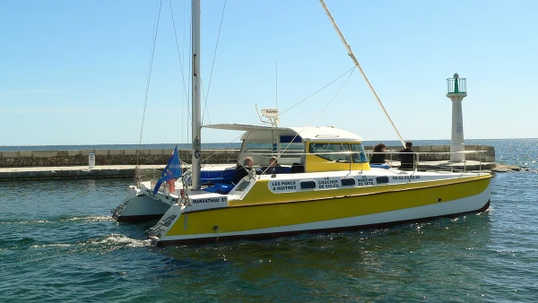 Balade en catamaran, visite parc à huitres
