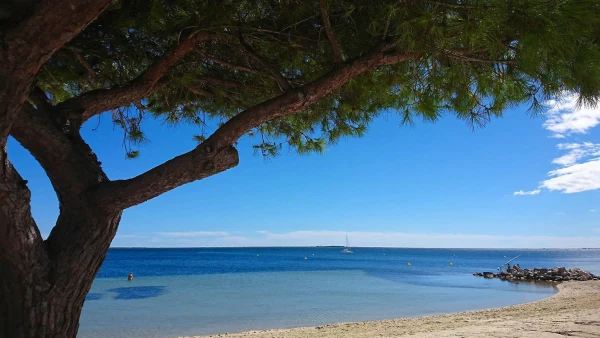 Découvrir l’ostréiculture sous l’eau avec le sentier sous-marin