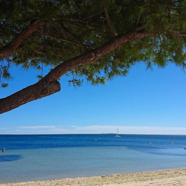 Découvrir l’ostréiculture sous l’eau avec le sentier sous-marin