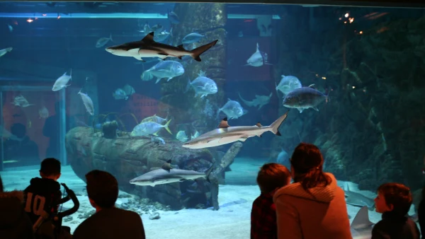 SEAQUARIUM INSTITUT