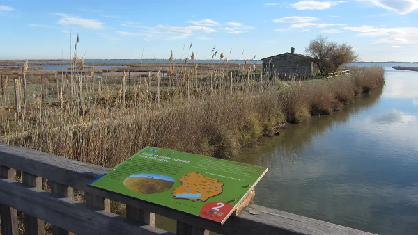 Site de l’Etang de l’Or avec des balades naturalistes organisées par l’OT